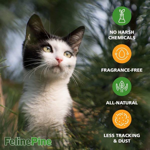 Feline Pine Platinum Non-Clumping Cat Litter 18lb. - Image 12