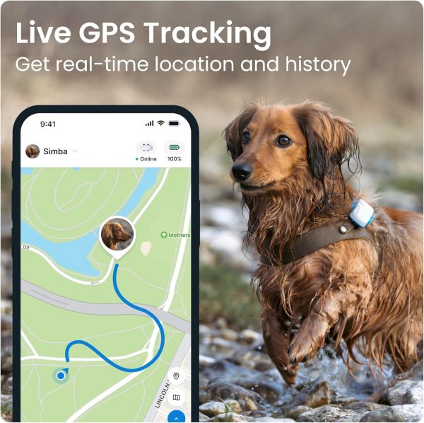 Tractive GPS Tracker for Dogs - Waterproof, GPS Location & Smart Pet Activity Tracker, Unlimited Range, Works with Any Collar (White) - Image 7