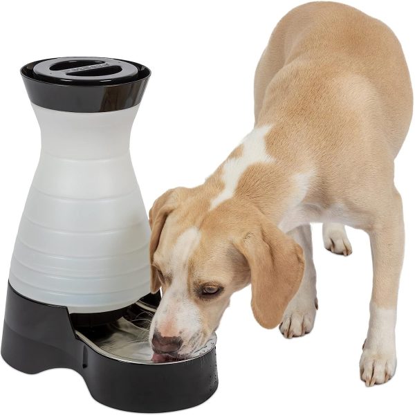 PetSafe Healthy Pet Water Station- Medium, 1 gal Capacity- Gravity Cat & Dog Waterer- Removable Stainless Steel Bowl Resists Corrosion & Stands Up to Frequent Use- Easy to Fill- Filter Compatible