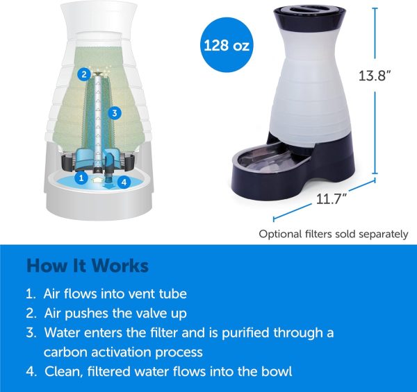 PetSafe Healthy Pet Water Station- Medium, 1 gal Capacity- Gravity Cat & Dog Waterer- Removable Stainless Steel Bowl Resists Corrosion & Stands Up to Frequent Use- Easy to Fill- Filter Compatible - Image 4