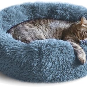 Cat Beds & Furniture