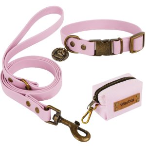 Dog Collars & Leashes