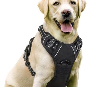 Dog Harnesses